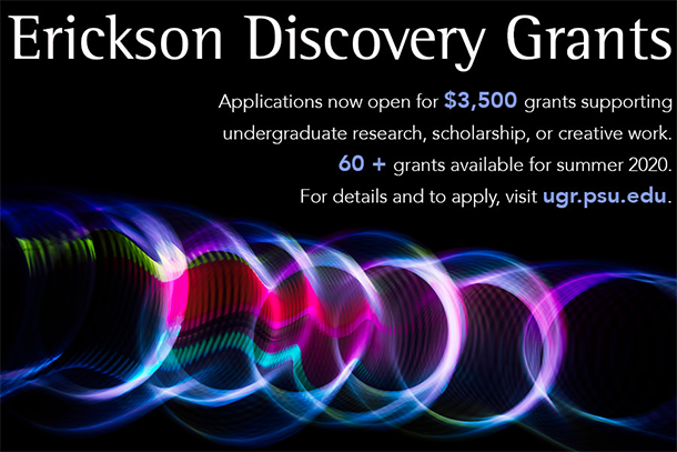 Graphic highlighting Erickson Discovery Grant information